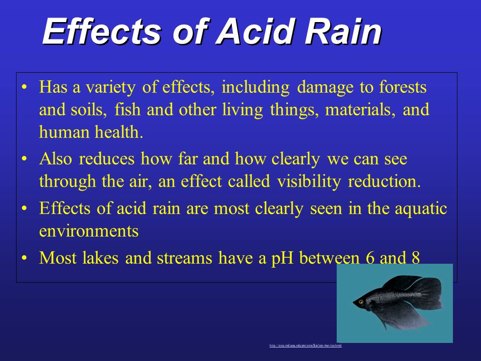 The disastrous effects of acid rain on man and environment